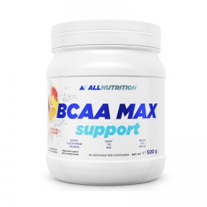BCAA Max Support (500 г)