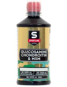 Glucosamine & Chondroitin & MSM (500 мл)