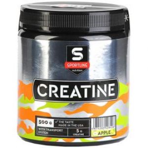 Creatine with Transport System (500 гр.)