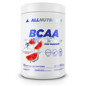 BCAA Max Support Instant (500 г.)