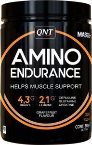 Amino Endurance (350 гр)